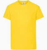 Breadalbane Academy Children’s School House T Shirts (SS28B)