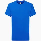 Breadalbane Academy Children’s School House T Shirts (SS28B)